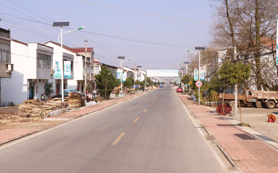 太陽能路燈 ZX-2008應用圖