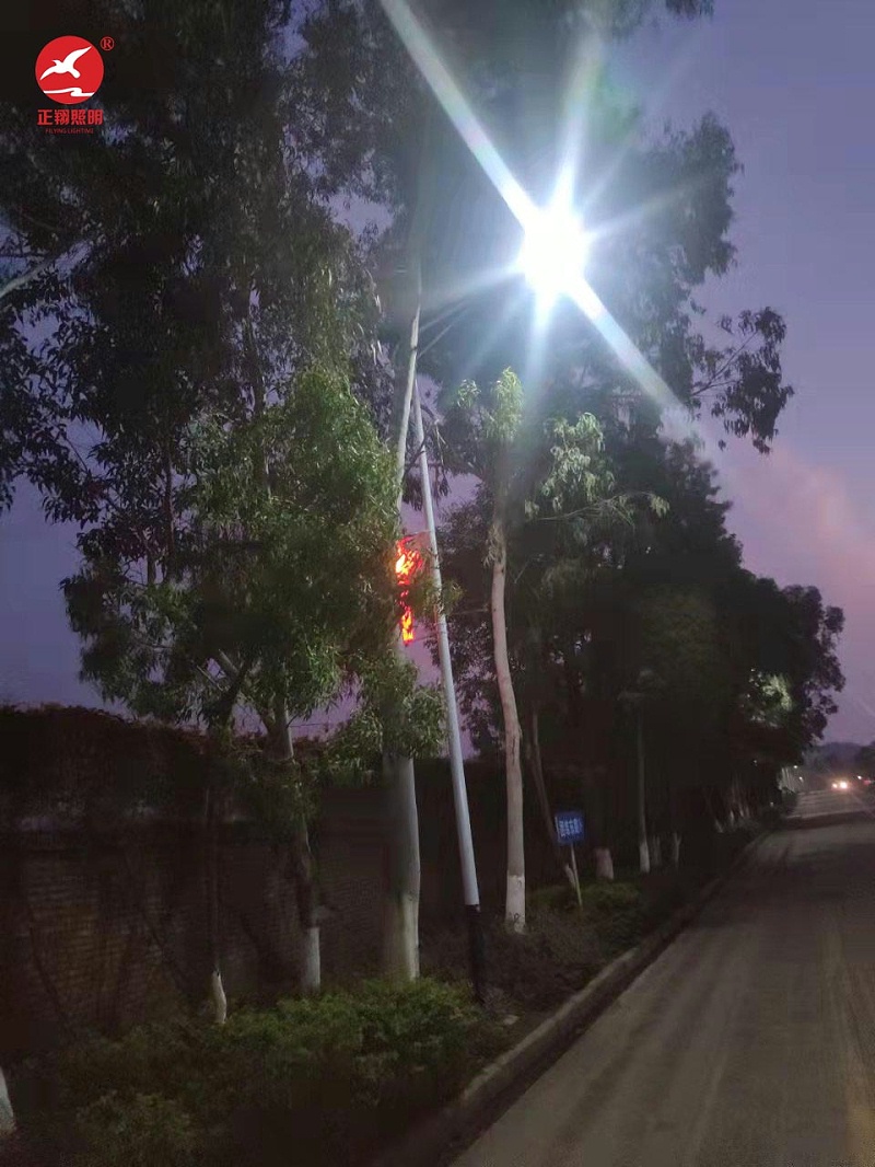 惠州市河南岸下馬莊中國結太陽能路燈